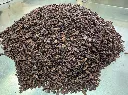 nibs.2.webp